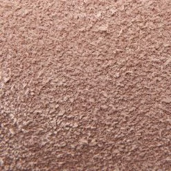 The Frye Company Women Sabrina 6G Lace Up