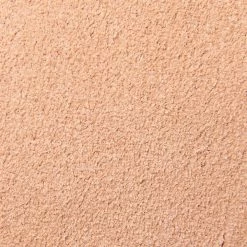 Frye & Co Lula Bow Sandal Women