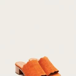 The Frye Company Women Cindy Wave Mule