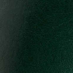 The Frye Company Kenzie Slingback Women