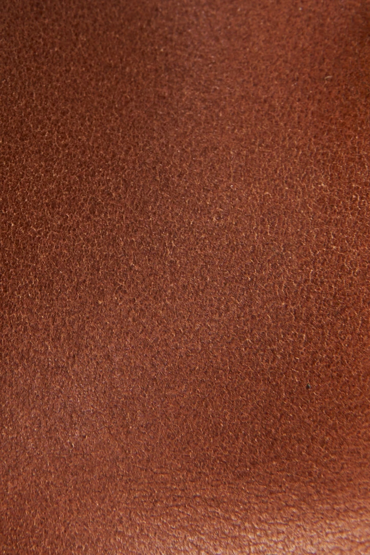 The Frye Company Sacha Moto Shootie 7 The Frye Company Sacha Moto Shootie