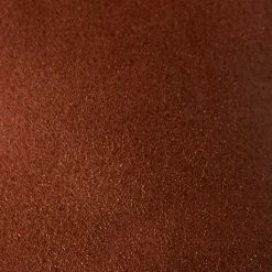 The Frye Company Sacha Moto Shortie