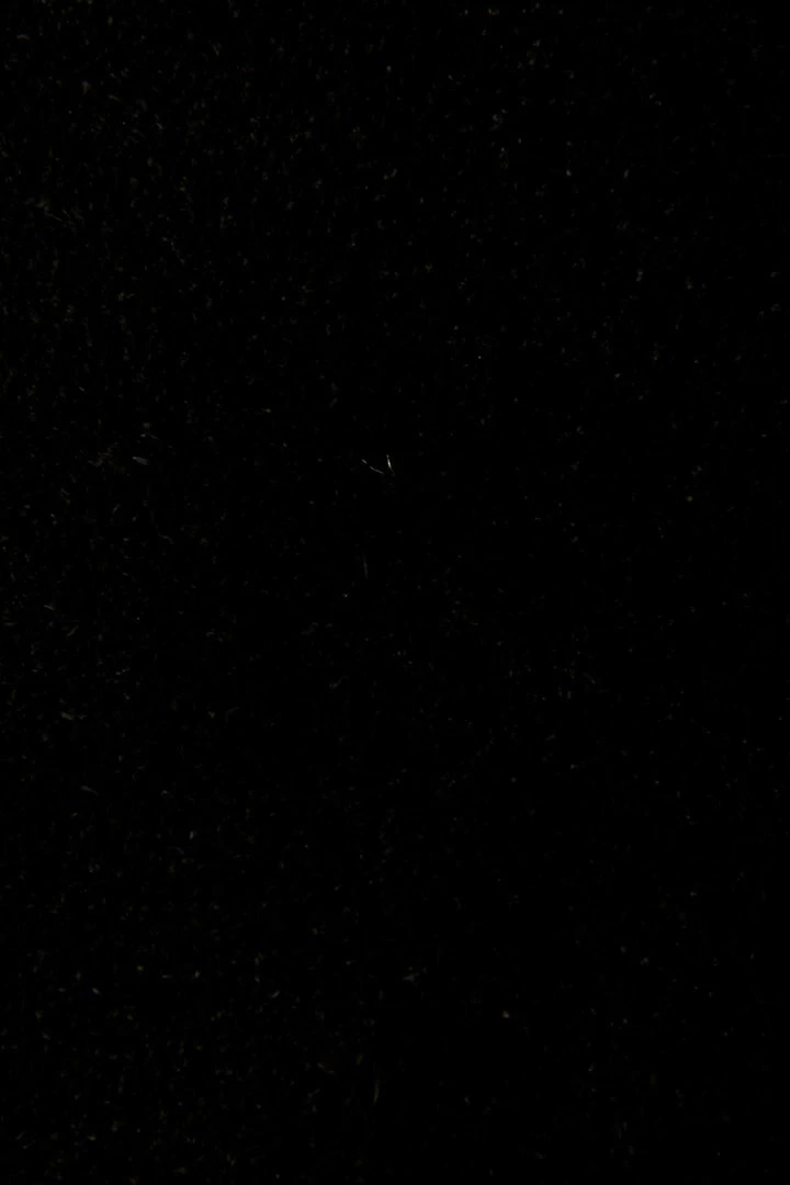 The Frye Company Farrah Wave Short Women 7 The Frye Company Farrah Wave Short Women