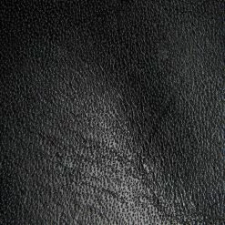 The Frye Company Veronica Inside Zip SHOES