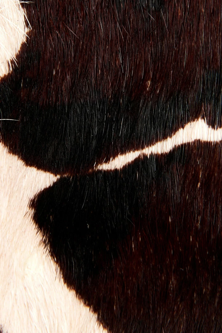 The Frye Company Georgia Bootie 7 The Frye Company Georgia Bootie