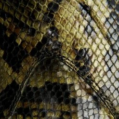 The Frye Company Women Melissa Harness Pull On Short