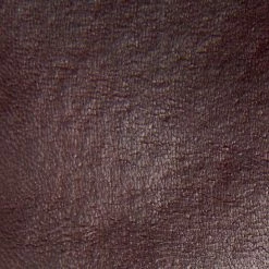 The Frye Company Women Melissa D Ring Tall 13 The Frye Company Women Melissa D Ring Tall