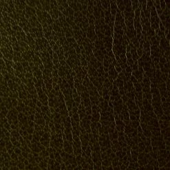 The Frye Company Melissa Chelsea