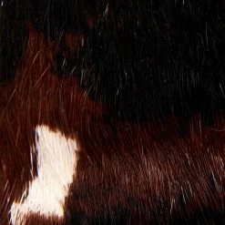 The Frye Company Sacha Chelsea