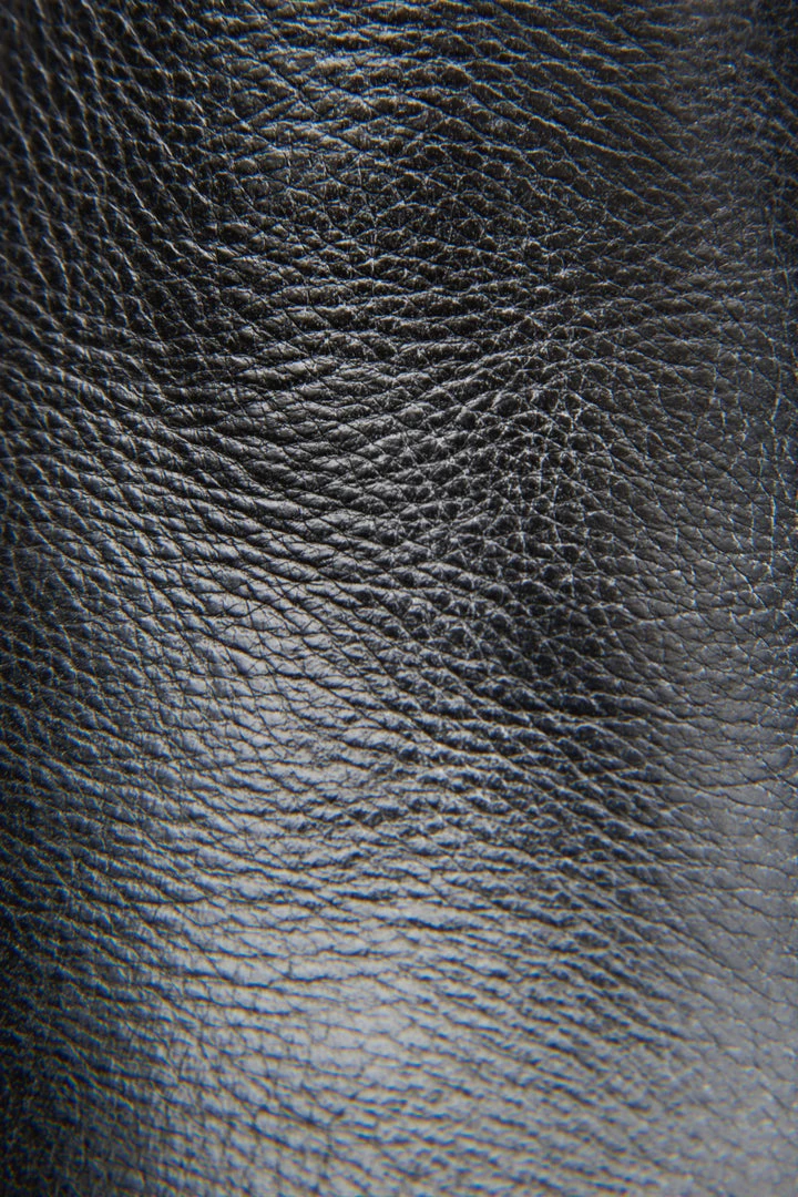 The Frye Company Brielle Rebel Zip Bootie 7 The Frye Company Brielle Rebel Zip Bootie