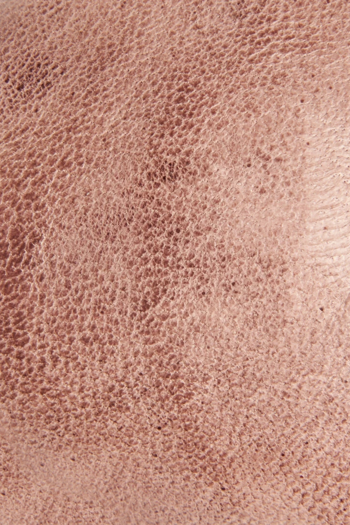 The Frye Company Carson Ballet Women 7 The Frye Company Carson Ballet Women