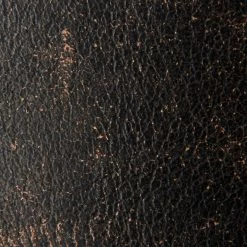 The Frye Company SHOES Veronica Harness Tall