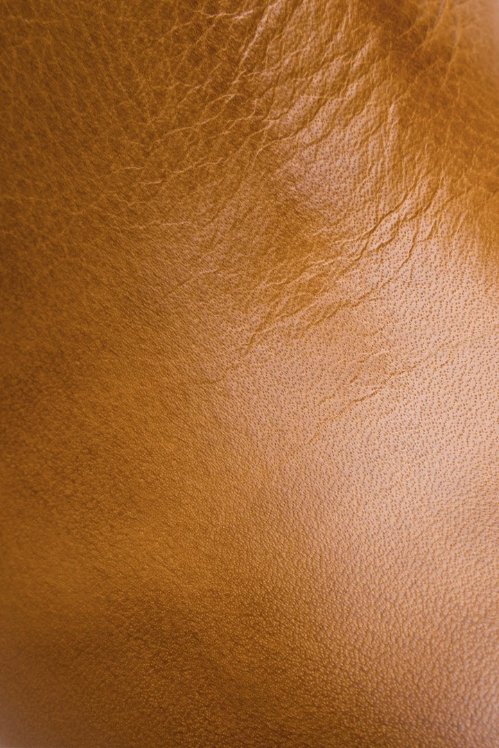 The Frye Company Jillian Chelsea Women 5 The Frye Company Jillian Chelsea Women