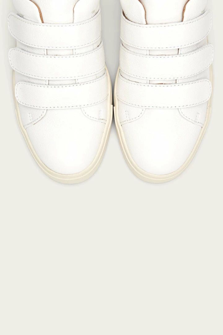 The Frye Company Ivy Strap Low Women 8 The Frye Company Ivy Strap Low Women