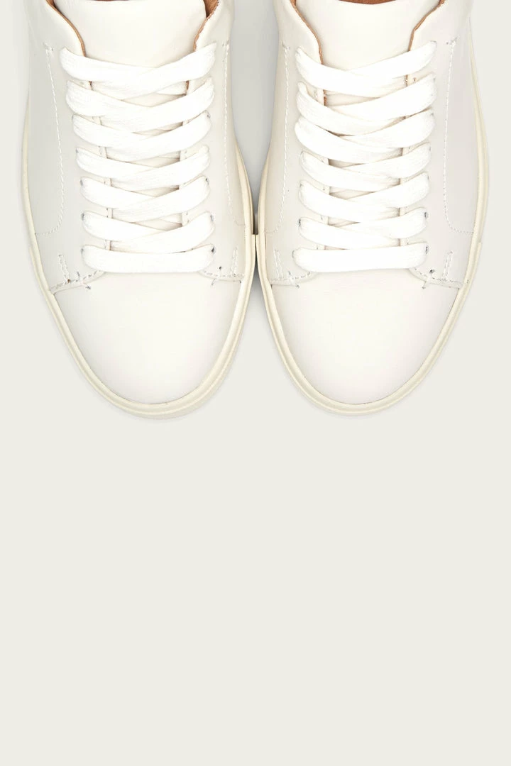 The Frye Company Ivy Low Lace 8 The Frye Company Ivy Low Lace