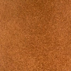 The Frye Company Ray Mule