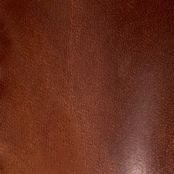 The Frye Company Sacha Moto Short SHOES 13 The Frye Company Sacha Moto Short SHOES