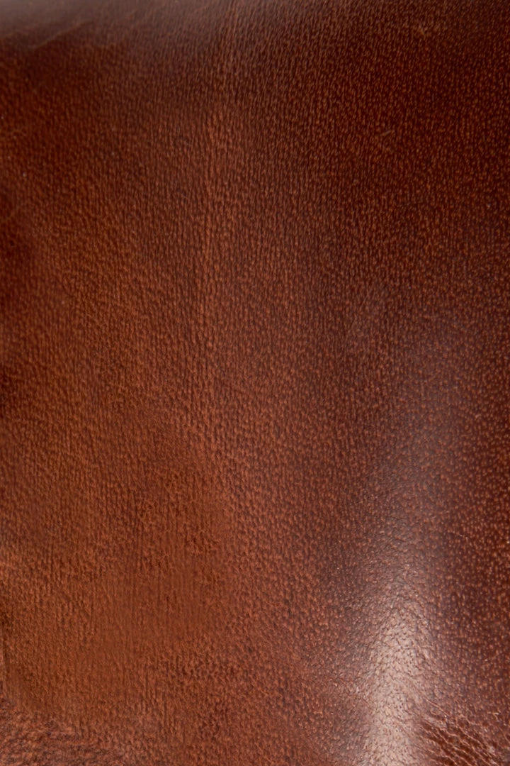 The Frye Company Sacha Moto Short SHOES 7 The Frye Company Sacha Moto Short SHOES