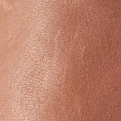 The Frye Company Women Webster Western Low Lace