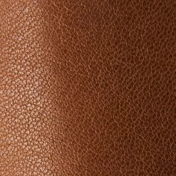 The Frye Company Women Dana Ballet