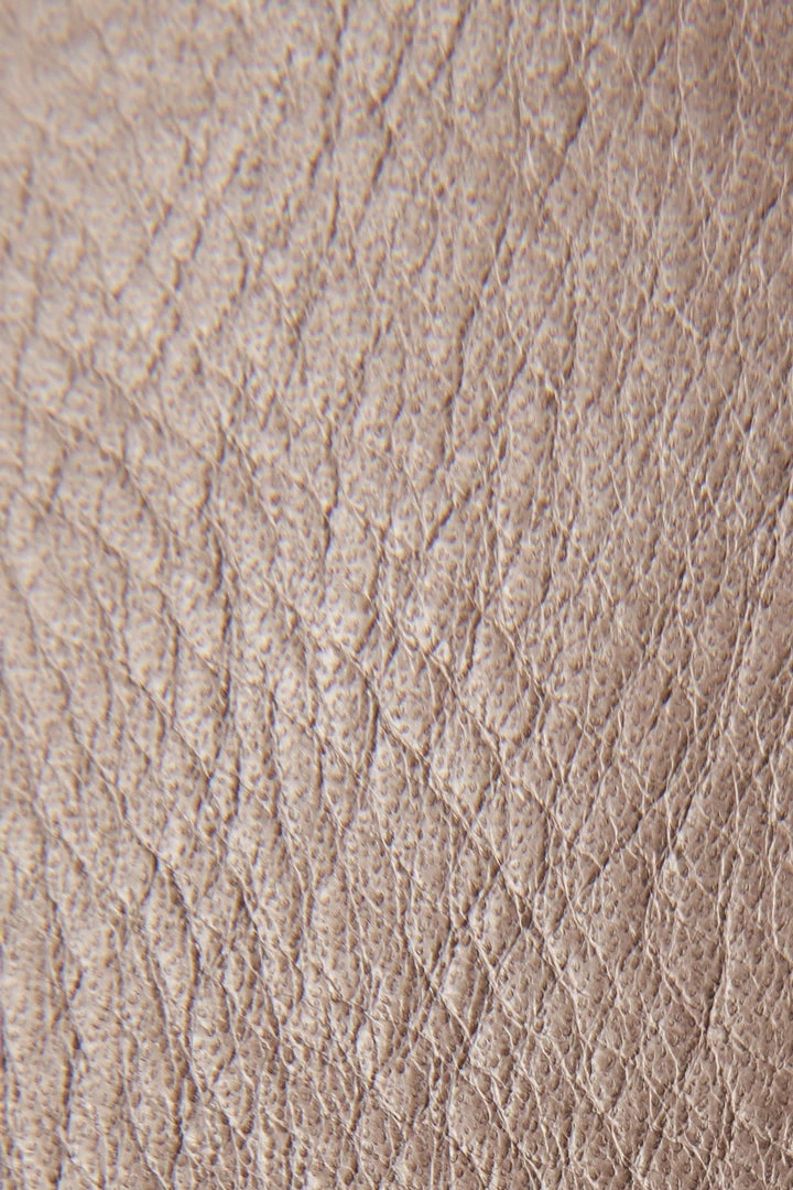 The Frye Company Women Delaney Harness Shield 7 The Frye Company Women Delaney Harness Shield