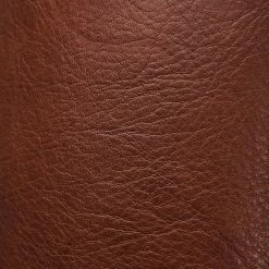 The Frye Company Jayden Buckle Back Zip Women