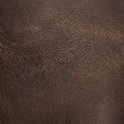 The Frye Company Jayden Buckle Back Zip Women