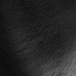 The Frye Company Women Jayden Button Tall