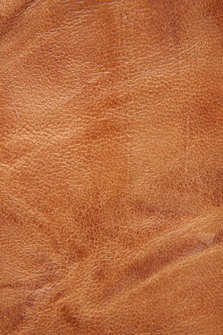 The Frye Company Women Terri Gore Mule 7 The Frye Company Women Terri Gore Mule