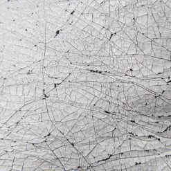 The Frye Company Women Veronica Combat