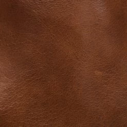 The Frye Company Women Joan Campus Short