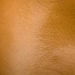 The Frye Company Joan Campus Mule Women