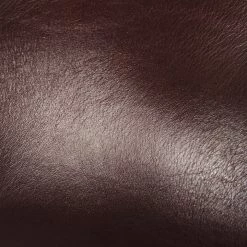 The Frye Company Women Casey Chelsea