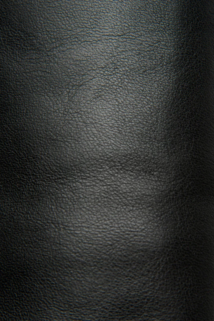 The Frye Company Women Phillip Harness Tall 7 The Frye Company Women Phillip Harness Tall