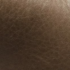 The Frye Company Women Veronica Short