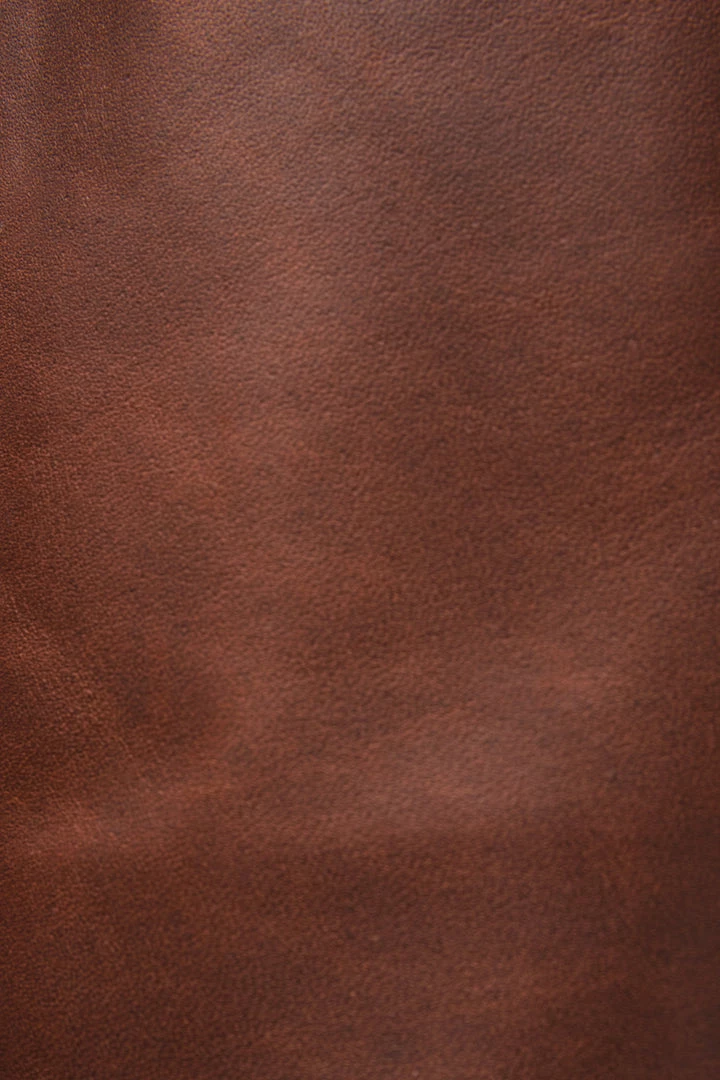 The Frye Company Paige Tall Riding SHOES 7 The Frye Company Paige Tall Riding SHOES