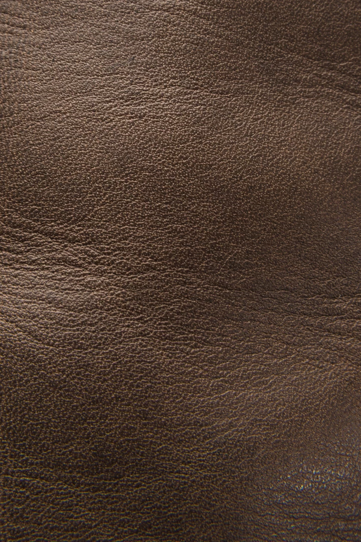 The Frye Company Paige Tall Riding 7 The Frye Company Paige Tall Riding