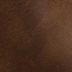 The Frye Company Paige Tall Riding