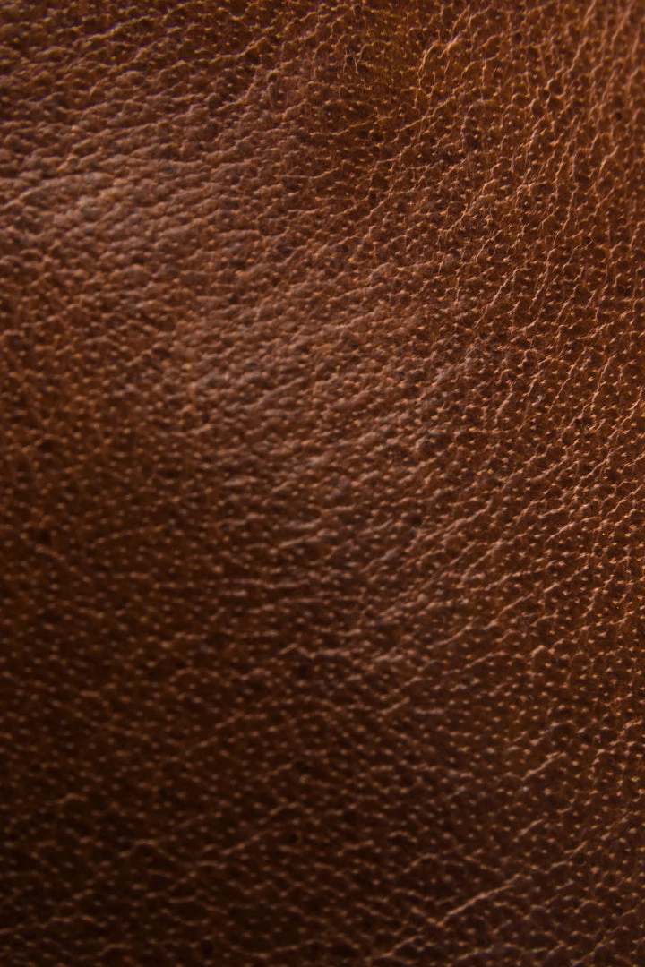 The Frye Company Women Terri Penny Loafer 7 The Frye Company Women Terri Penny Loafer