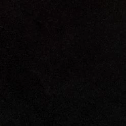 The Frye Company Women Addie Stud Double Zip