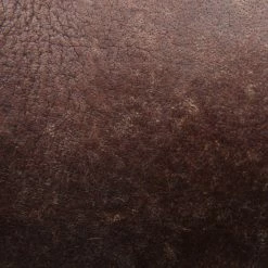 The Frye Company Women Jayden Cross Strap