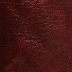 The Frye Company Women Phillip Harness Tall