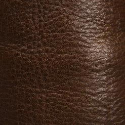 The Frye Company Women Phillip Harness Tall