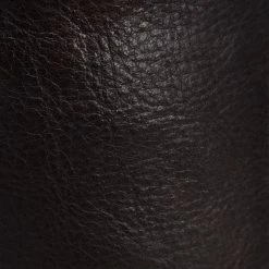 The Frye Company Women Phillip Harness Tall