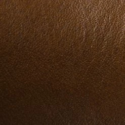 The Frye Company Women Phillip Harness