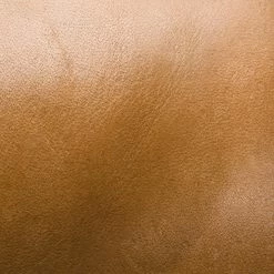 The Frye Company Women Melissa Harness Inside Zip Wide Calf