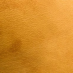 The Frye Company Campus 14L 13 The Frye Company Campus 14L