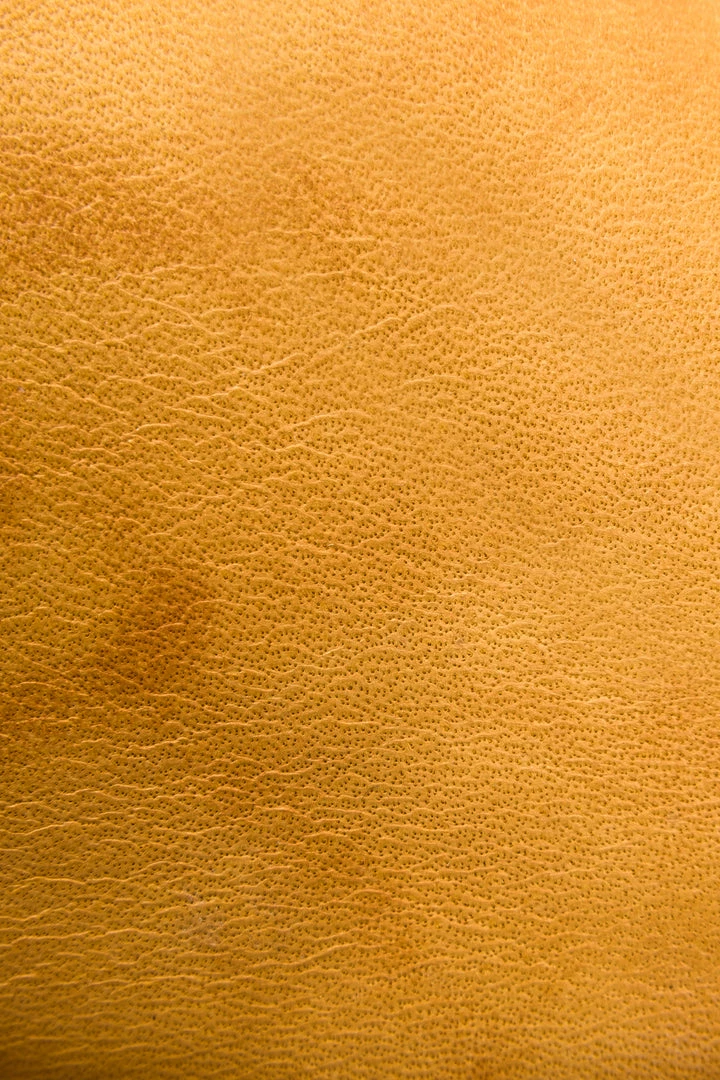 The Frye Company Campus 14L 7 The Frye Company Campus 14L