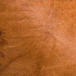 The Frye Company Campus 14L SHOES