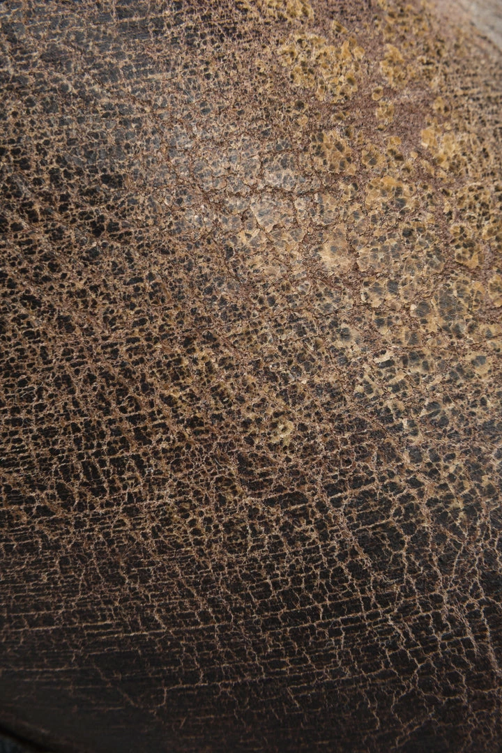 The Frye Company Women Harness 12R 5 The Frye Company Women Harness 12R